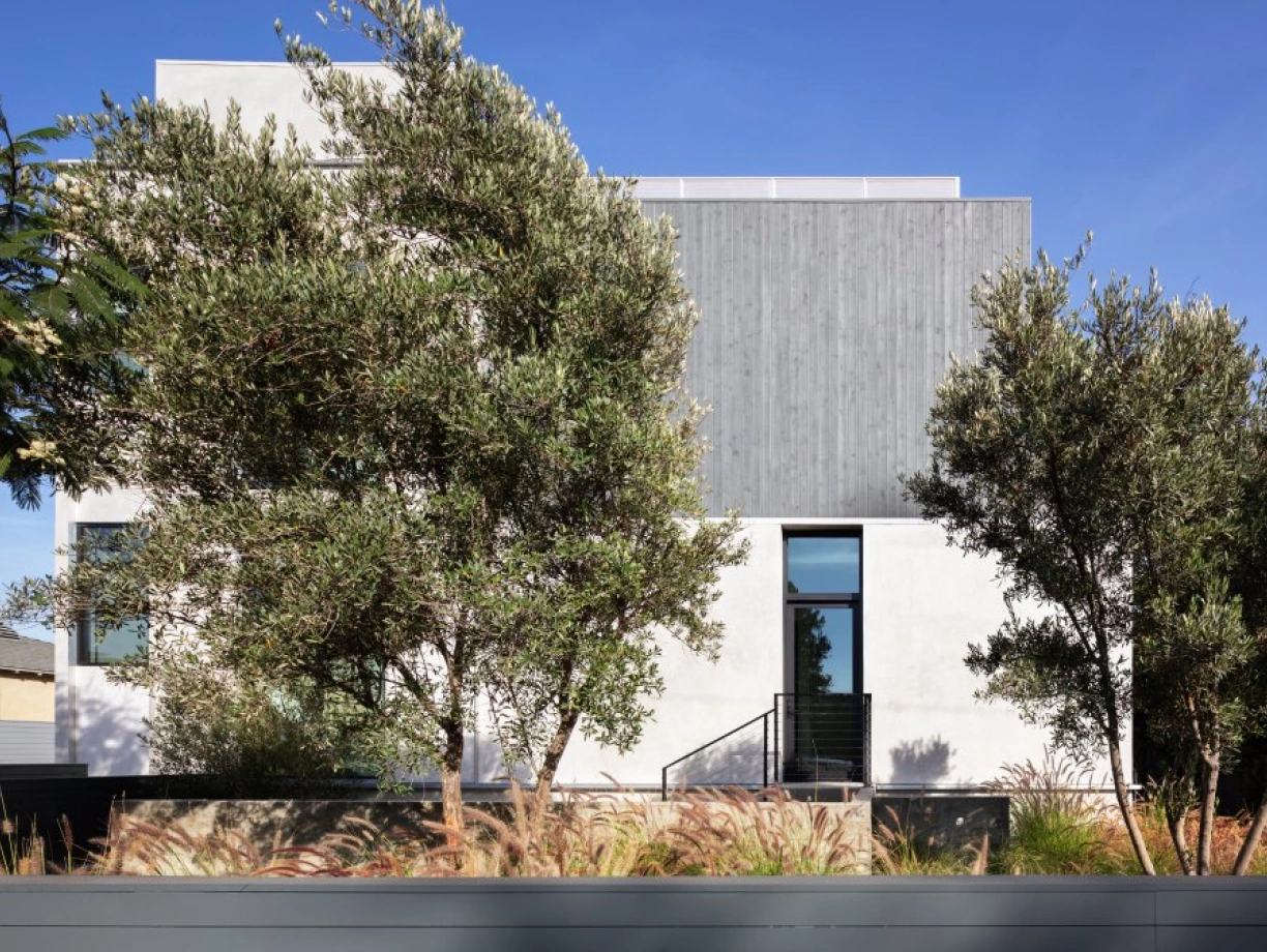 Modern architectural building featuring a mix of concrete and wooden elements, surrounded by greenery and plants under a clear blue sky.
