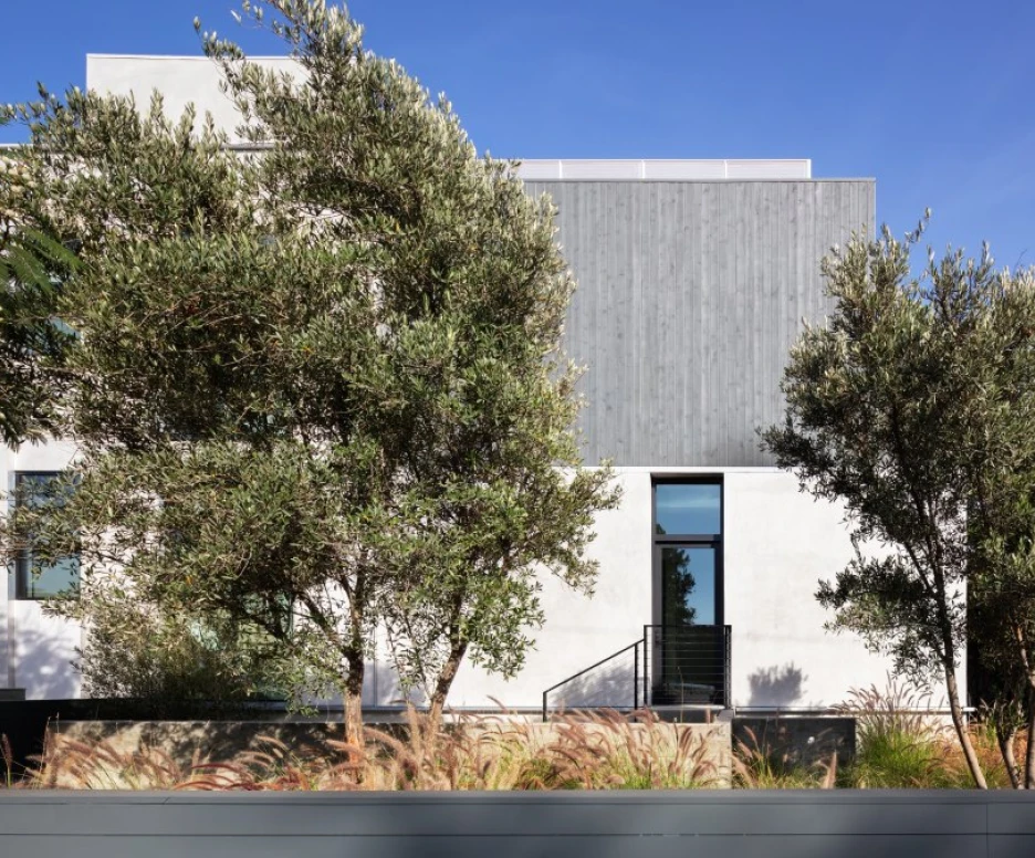 Modern architectural building featuring a mix of concrete and wooden elements, surrounded by greenery and plants under a clear blue sky.
