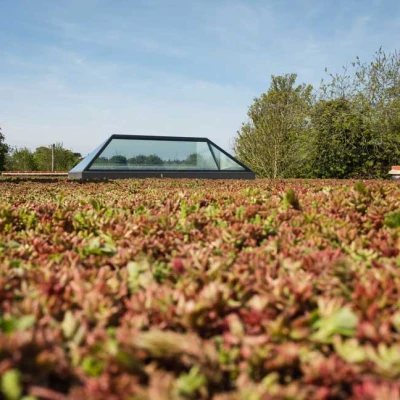 A lush green roof covered in sedum plants, with a modern glass skylight peeking through. In the background, trees and clear blue sky are visible.