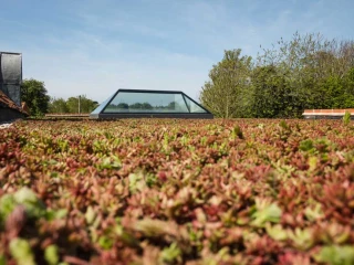 A green roof covered with succulent plants, featuring a glass skylight in the background and surrounded by trees under a clear blue sky.