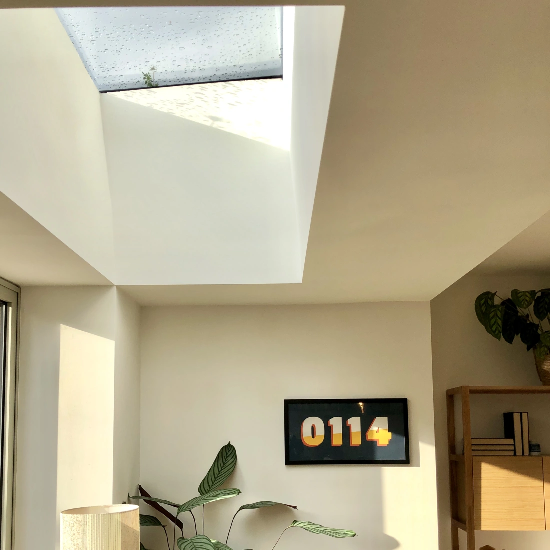 Interior de una habitación con un tragaluz que entra luz natural. En la pared hay un cuadro con el número "0114" y una planta grande cerca de un sillón. También se observa una lámpara y una estantería con decoraciones.