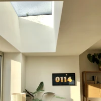 Interior de una habitación con un tragaluz que entra luz natural. En la pared hay un cuadro con el número "0114" y una planta grande cerca de un sillón. También se observa una lámpara y una estantería con decoraciones.