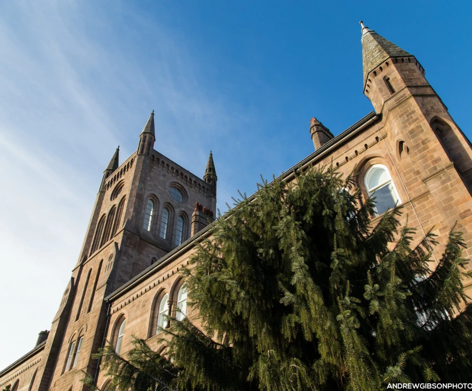 A tall, historic building with spires and gothic architecture stands against a clear blue sky. A large evergreen tree partially obscures the lower section of the structure.