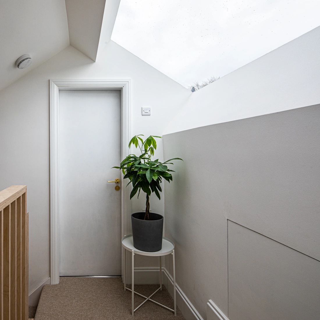 A bright, modern hallway with a sloped white ceiling, featuring a closed white door and a small potted plant on a round table. Light filters in through a skylight above.