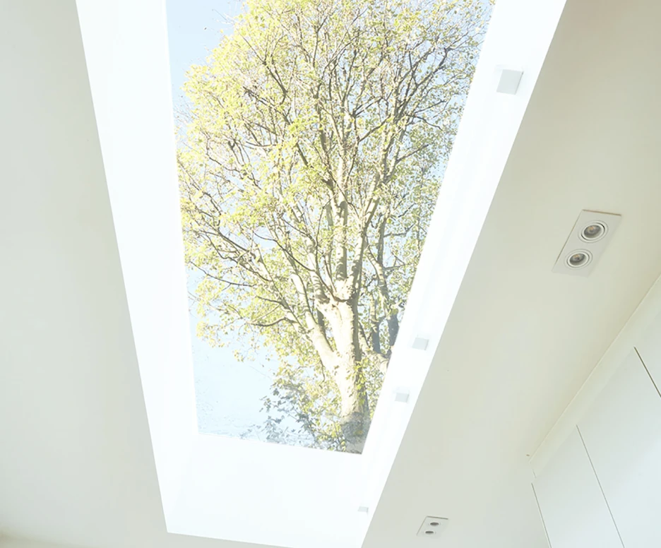 A skylight reveals a view of a green tree against a clear blue sky, illuminating a modern interior space with white walls and minimalistic design.