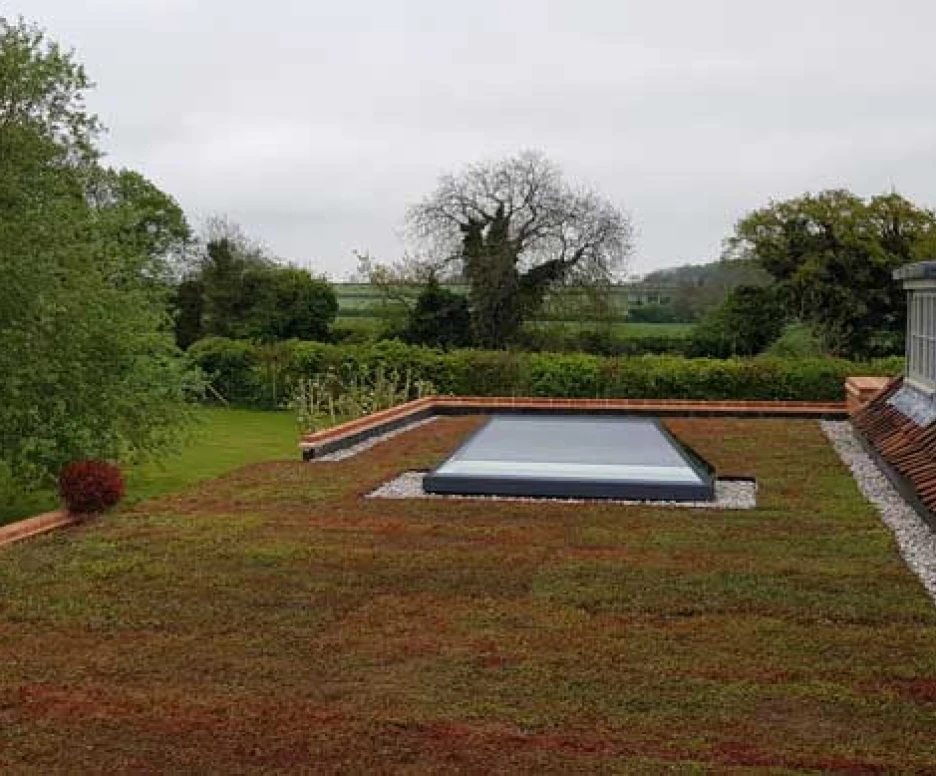 A green rooftop garden featuring a small pool surrounded by gravel and red plants, with a lush green landscape and cloudy sky in the background.