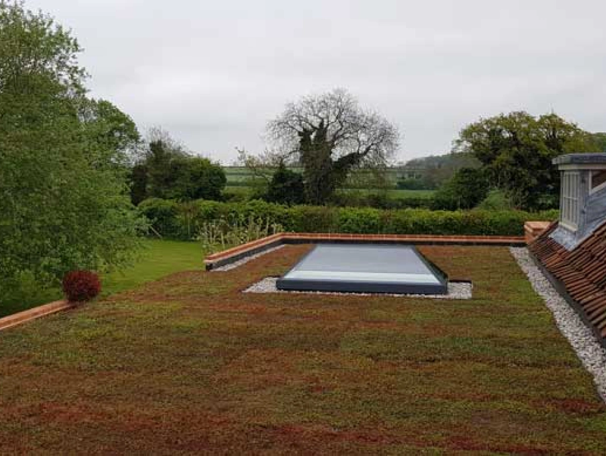 A green rooftop garden featuring a small pool surrounded by gravel and red plants, with a lush green landscape and cloudy sky in the background.