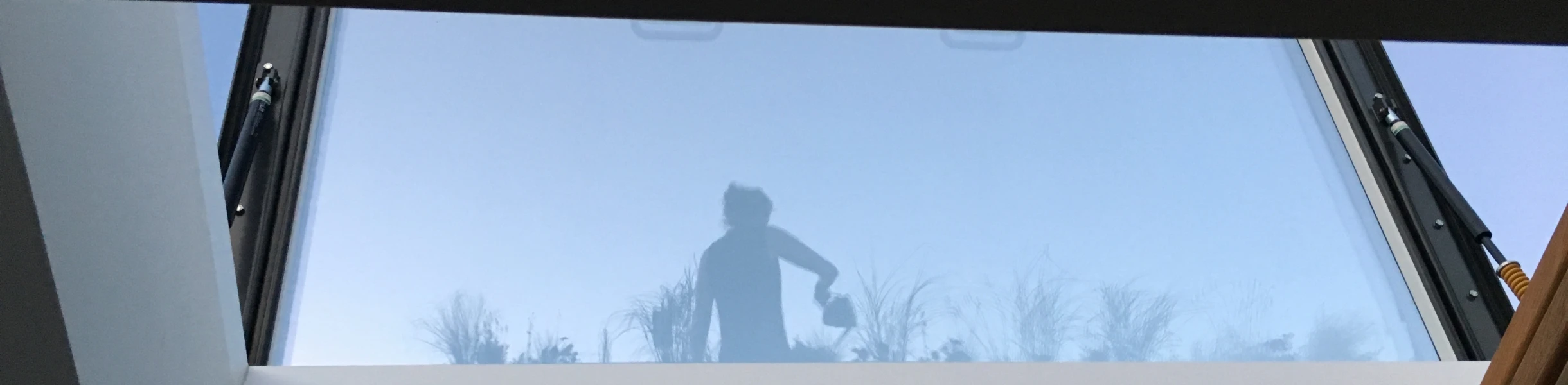 Silhouette d'une personne au-dessus d'une fenêtre, avec des plantes en arrière-plan. Un ciel bleu est visible au-delà de la vitre.