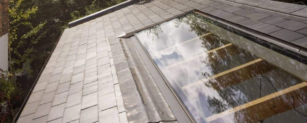 A sloped roof with slate tiles features a skylight reflecting trees and clouds above.