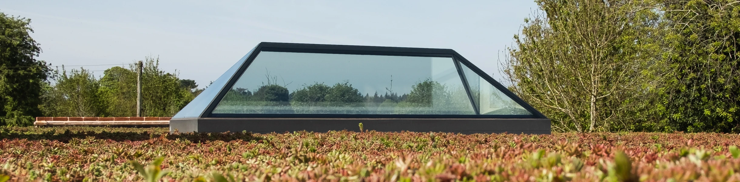Estructura moderna con techo de cristal, rodeada de un jardín de plantas bajas y verde. El cielo es azul claro con algunas nubes.