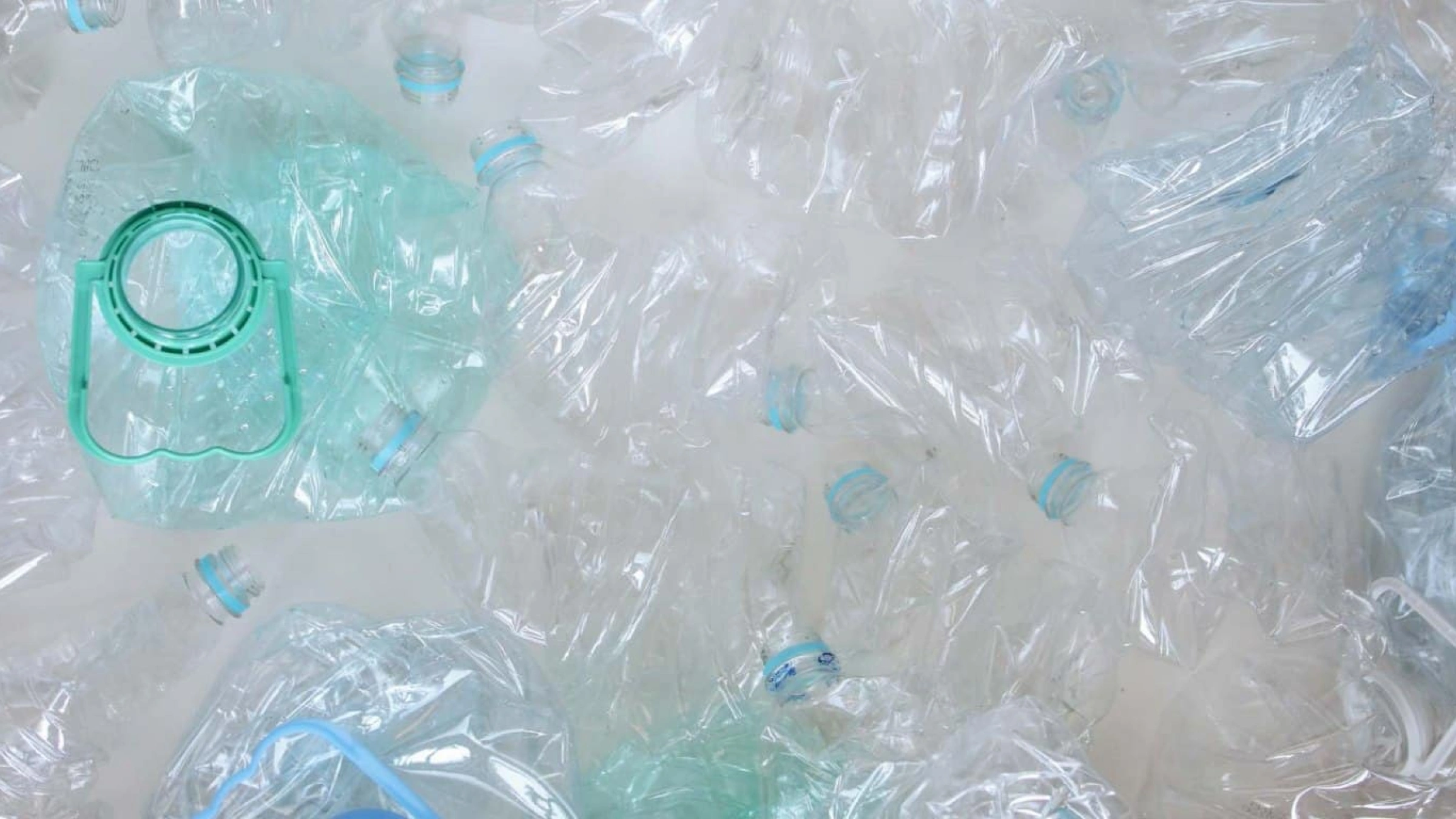plastic bottles