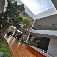 Intérieur d'une maison moderne avec un espace ouvert, un sol en bois et des plantes vertes. De grandes baies vitrées laissent entrer la lumière. Un escalier en métal est visible à l'arrière-plan.