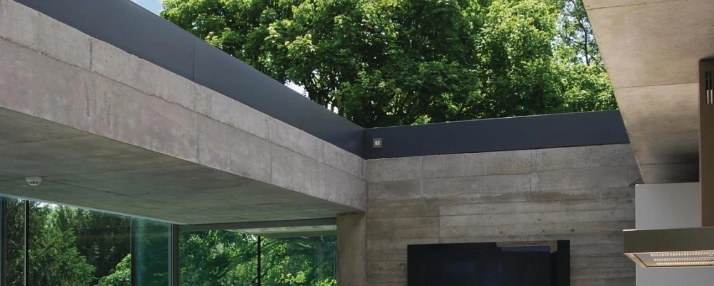 Cocina moderna con una isla central blanca, paredes de concreto y grandes ventanales que ofrecen vistas a un árbol verde. El espacio tiene un diseño minimalista y contemporáneo.