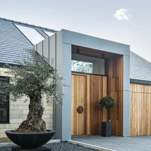 Modern house with a blend of stone and wooden accents, featuring a large front door and a sleek roofline. A decorative olive tree in a black pot is positioned in front, with a paved driveway leading up to the entrance. Mountainous landscape and blue sky in the background.