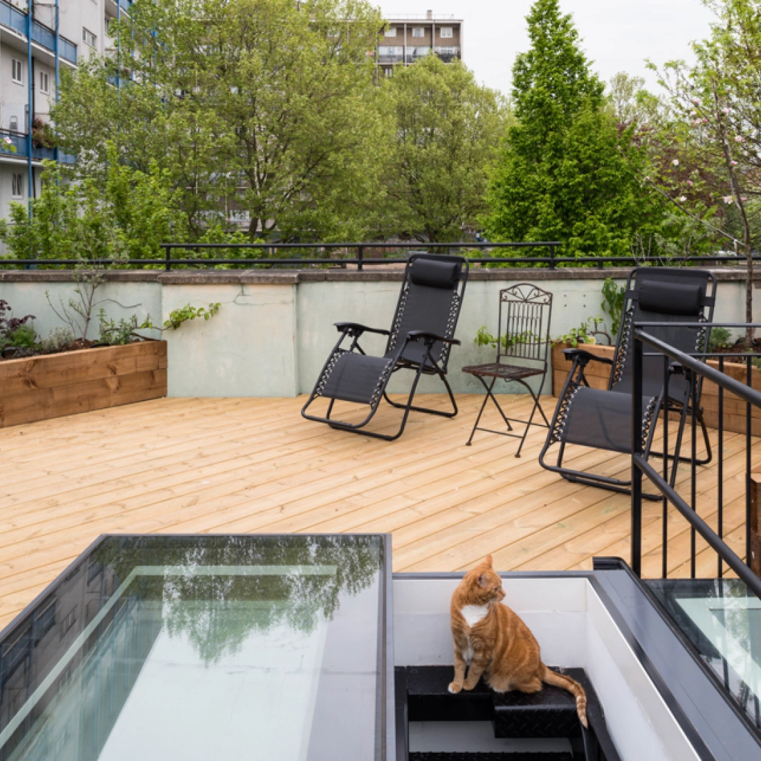 Terraza con piso de madera, dos sillas reclinables negras y una mesa. Hay un gato anaranjado sentado cerca de la entrada de una escalera. En el fondo, se ven árboles y edificios.
