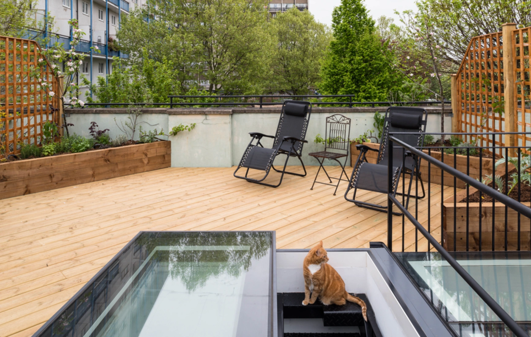A rooftop garden featuring wooden decking, two black lounge chairs, a small table, and a cat sitting near a set of stairs that lead to a lower level. Lush greenery surrounds the area with buildings in the background.