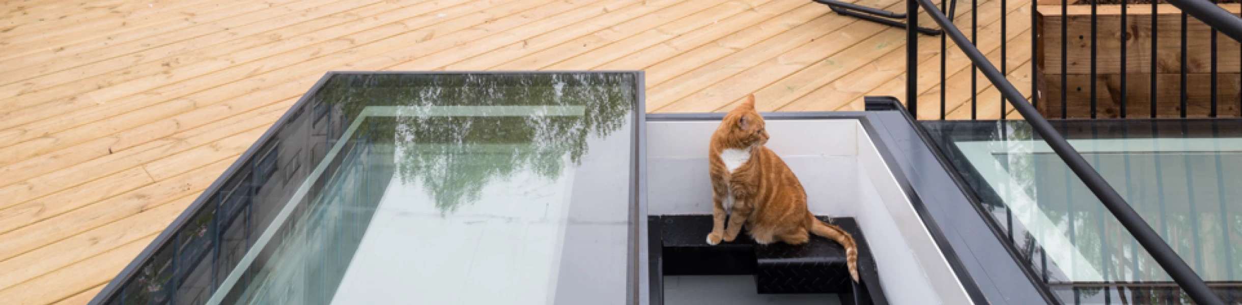 A spacious outdoor terrace features wooden decking, two reclining chairs, a small table, and a black chair. Lush green trees surround the area, and a ginger cat sits on the steps leading down.